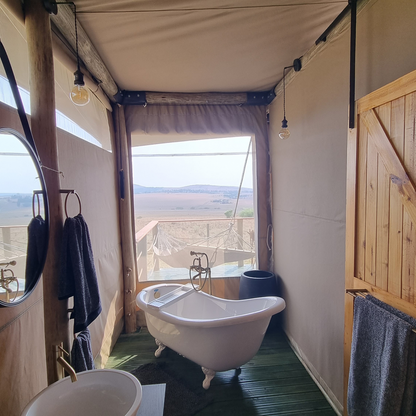 Bean Supreme Guest Tent - DIY